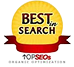 Best Search Award