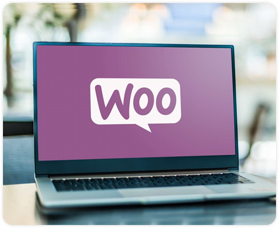 WooCommerce Marketing Agency